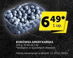 ABC Borówka amerykańska ABC oferta