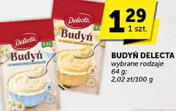 Euro Sklep Budyń Delecta wybrane rodzaje oferta