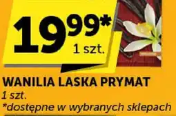 ABC Wanilia laska Prymat oferta