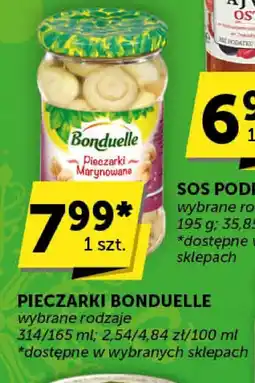 Groszek Pieczarki marynowane Bonduelle oferta