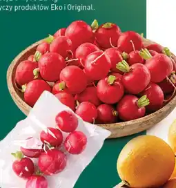 Stokrotka Rzodkiewka Stokrotka oferta