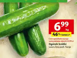 Auchan Ogórek krótki luzem, Turcja Auchan oferta