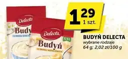 ABC Budyń Delecta wybrane rodzaje oferta