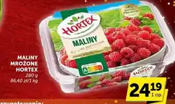 ABC Maliny mrożone HORTEX oferta