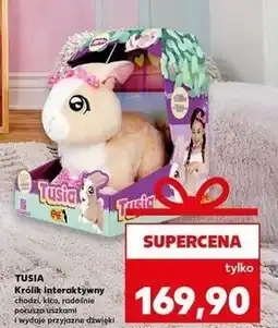 Kaufland Królik tusia Epee oferta