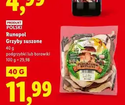 Lidl Grzyby suszone Runopol podgrzybki lub borowiki oferta