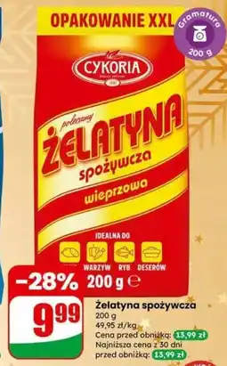 Dino Żelatyna spożywcza Cykoria oferta