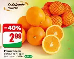 Dino Pomarańcza oferta