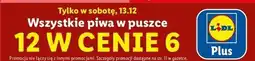 Lidl Wszystkie piwa w puszce oferta