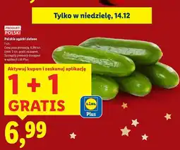 Lidl Polskie ogórki zielone oferta