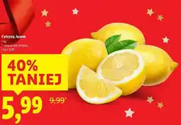 Lidl Cytryny, luzem oferta