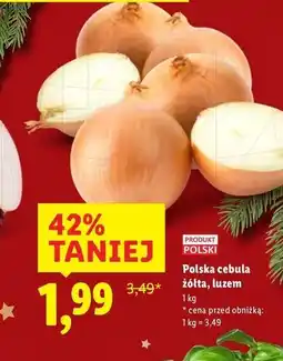 Lidl Polska cebula żółta, luzem oferta