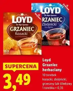 Lidl Lody Grzaniec herbaciany oferta