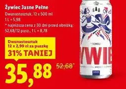 Lidl Żywiec Jasne Pełne oferta