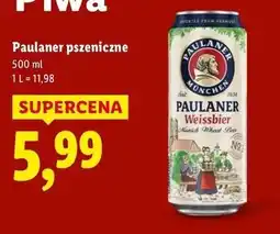 Lidl Paulaner pszeniczne oferta