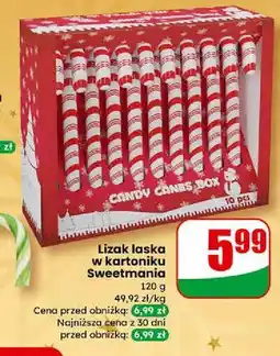 Dino Lizaki Sweetmania oferta