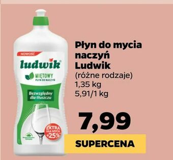 Netto Płyn do mycia naczyń Ludwik oferta