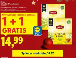Lidl Herbata Lipton oferta