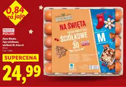 Lidl Jaja Złota nioska oferta