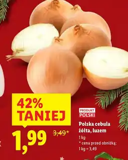 Lidl Cebula Polski oferta