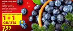 Lidl Borówki amerykańskie Plus-Plus oferta