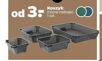 Netto Koszyk oferta