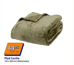 Action Pled Cecilia oferta