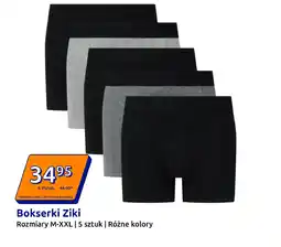 Action Bokserki Ziki oferta