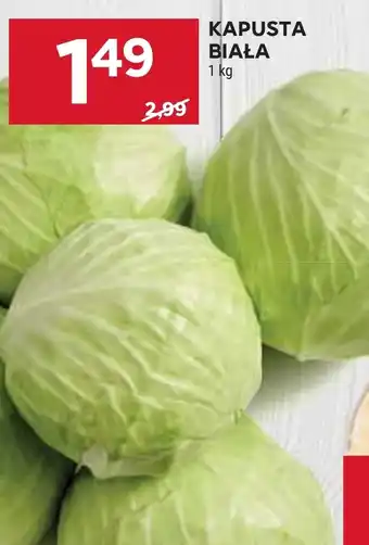 Stokrotka Market Kapusta biała oferta