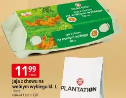 E.Leclerc Jaja z chowu na wolnym wybiegu kl. L oferta