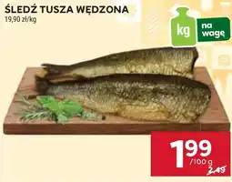 Stokrotka Śledź oferta
