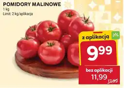 Stokrotka Pomidory oferta