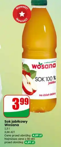 Dino Sok Wosana oferta