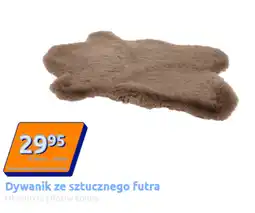 Action Dywanik oferta