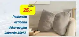 Hale Banacha Poduszka dekoracyjna oferta