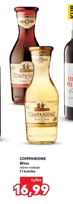 Kaufland Wino Companione oferta