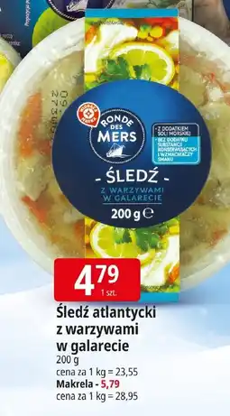 E.Leclerc Śledź atlantycki z warzywami w galarecie oferta