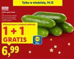 Lidl Ogórek Polskie ogórki zielone 1 szt. Lidl oferta