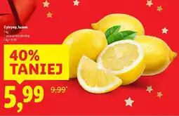 Lidl Cytryny luzem Lidl oferta