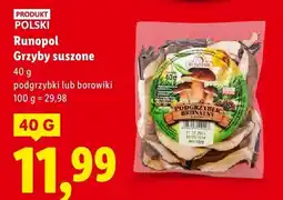 Lidl Grzyby suszone podgrzybki Runopol oferta