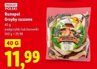 Grzyby suszone podgrzybki Runopol