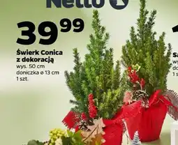 Netto Świerk Monica z dekoracją oferta