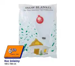 Action Koc śnieżny oferta