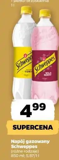 Netto Napój gazowany Schweppes oferta
