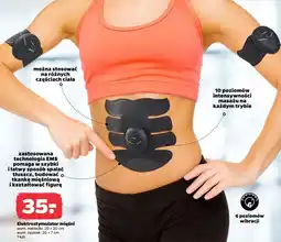 Netto Elektrostymulator mięśni oferta