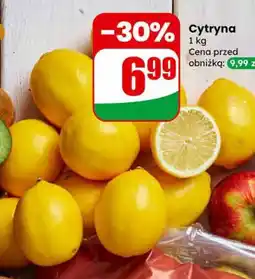 Dino Cytryna Dino oferta