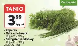 Intermarche Szczypiorek Z Sadów I Pól oferta