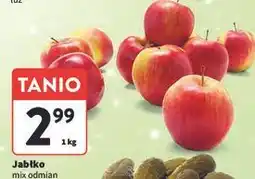 Intermarche Jabłka oferta