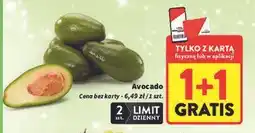 Intermarche Awokado oferta
