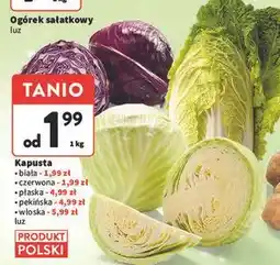 Intermarche Kapusta włoska oferta